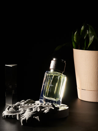 GENTEL M215 EAU DE PARFUM 50 ML BY MARS&VENUS